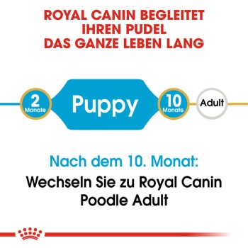 ROYAL CANIN BHN Poodle Puppy 3kg