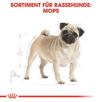ROYAL CANIN Mops Adult 3 kg