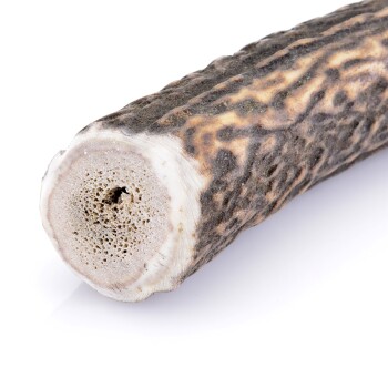 Larsson Geweih XL ca. 160-250g