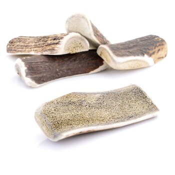 Larsson halbiertes Geweih S ca. 50-80g