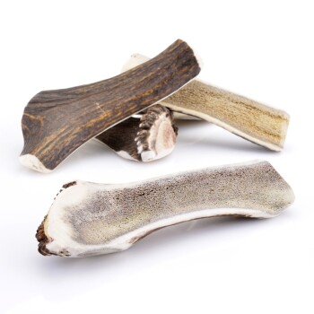 Larsson halbiertes Geweih M ca. 80-120g