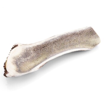 Larsson halbiertes Geweih M ca. 80-120g