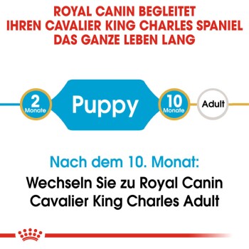 ROYAL CANIN Cavalier King Charles Puppy 1,5kg