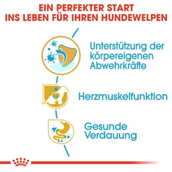 ROYAL CANIN Cavalier King Charles Puppy 1,5kg