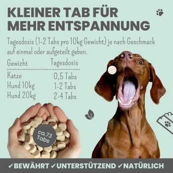 noms+ Wohlfühltabs für Hunde bei Stress & Angst 110g