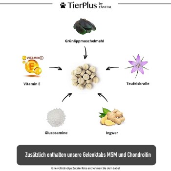 TierPlus ® Grünlippmuschel Gelenktabs