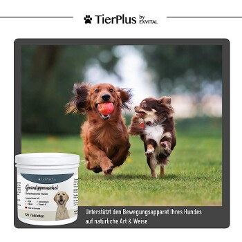 TierPlus ® Grünlippmuschel Gelenktabs