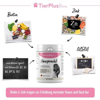 TierPlus ® Haarpracht Tabletten - hochdosiertes Biotin Komplex für Hunde