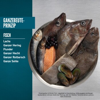 Orijen Small Breed Marine Adult Lachs & Hering 2x1,8 kg