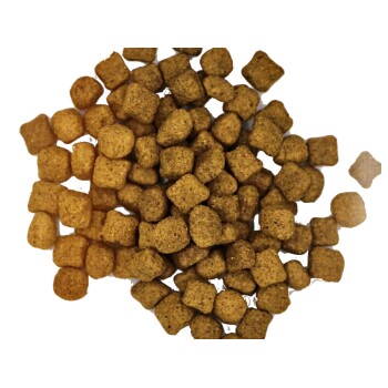 MyPetClub getreidefreies Insekten Hundefutter hypoallergen & sensitiv 14,5 kg