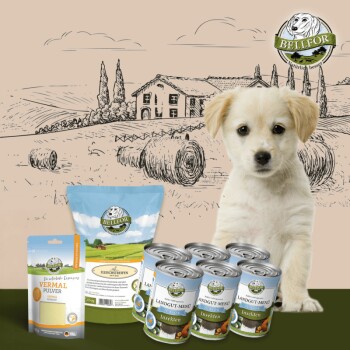 Bellfor Magen-Darm-Bereich Unterstützung Set für Welpen 2,580 g