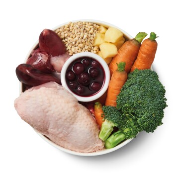 LILY'S KITCHEN Nassfutter für Hunde Adult Huhn und Truthahn 10x150 g