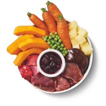 LILY'S KITCHEN Nassfutter für Hunde Adult Lamm 10x150 g