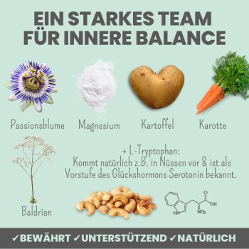noms+ Wohlfühlsnacks für Hunde bei Stress & Angst 150g