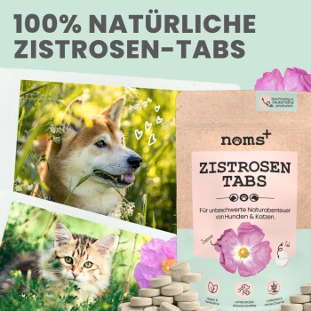 noms+ Zistrosen Tabs für Hunde & Katzen 150g