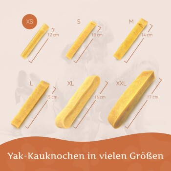 Wildfang Kaukäse - Hartkäse Kaustab XS 3 Stückx3