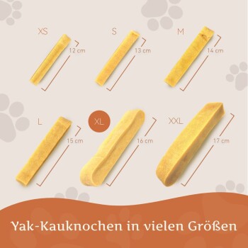 Wildfang Kaukäse - Hartkäse Kaustab XL 3 Stückx3