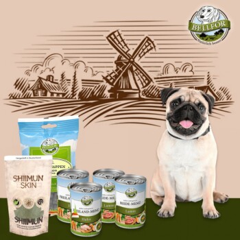 Bellfor Mops Futter Set