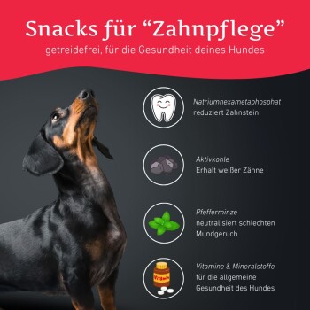 Wildfang Zahnpflege Snacks - getreidefrei 70 g