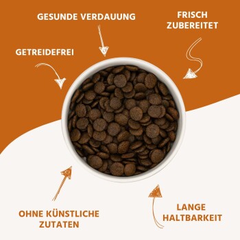 Wildfang ® Adult Trockenfutter mit Thunfisch 2 x 2 kg