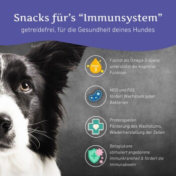 Wildfang ® Immunsystem Snacks - getreidefrei - 3 x 70 g
