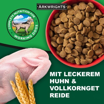 Arkwright mit Huhn