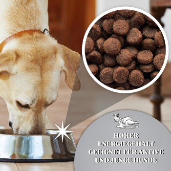 Dr John Reich an Huhn mit Gemüse Titanium 15 kg