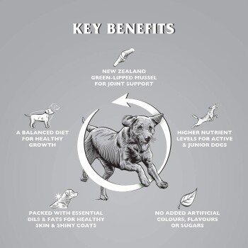 Dr John Reich an Huhn mit Gemüse Titanium 4 kg