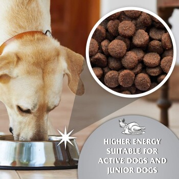 Dr John Reich an Huhn mit Gemüse Titanium 4 kg