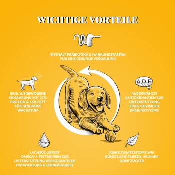 Dr John Welpen Trockenfutter Reich an Huhn 2 kg