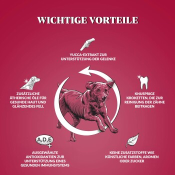 Dr John Silver Rind mit Gemüse 15 kg