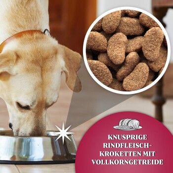 Dr John Silver Rind mit Gemüse 15 kg