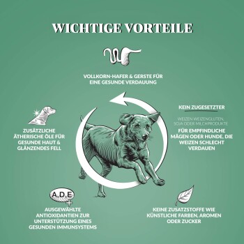 Dr John Hyppo Huhn mit Hafer 4 kg