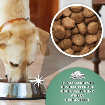 Dr John Hyppo Huhn mit Hafer 4 kg