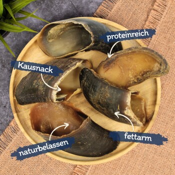 Lyra Pet Rinderhufe je ca. 80 g 6,13 kg