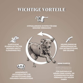 Dr John Getreidefreies Huhn & Kartoffeln 3x2 kg