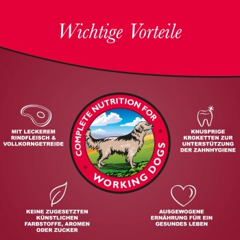 Arkwright mit Rind 2x15kg