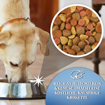 GILPA Super Mix 15 kg