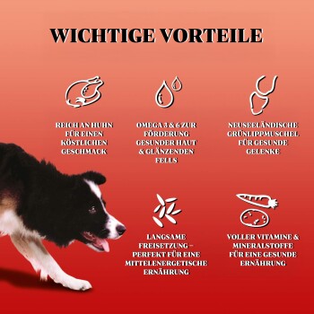 GILPA Kennel 2x15 kg