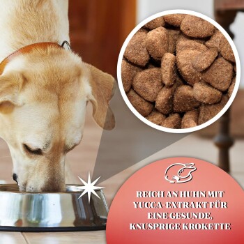 GILPA Kennel 2x15 kg