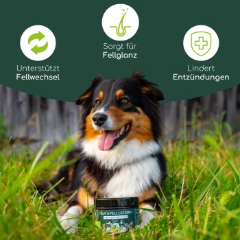 Wolfsbacher Natur Haut & Fell Leckerli 3x