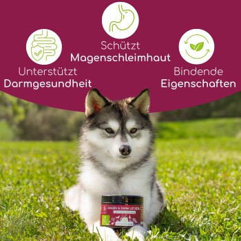Wolfsbacher Natur Magen & Darm Leckerli