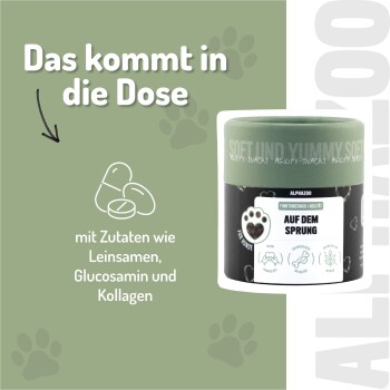 ALPHAZOO Auf Dem Sprung 60g I Funktionssnack für Gelenke & Knochen