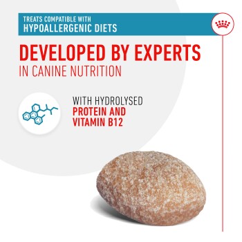 ROYAL CANIN Snacks Adult, Hypoallergenic