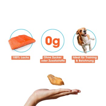 KAUDAS LachsPur Natursnack 5x50g