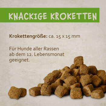 Montanus ® adult 10 kg