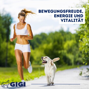 GIGI VET Große Hunde Gelenke & Knochen 240x770 g