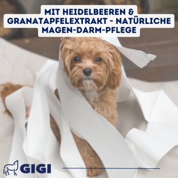 GIGI VET Magen & Darm Komfort Für kleine Hunde und Katzen 60x20 g