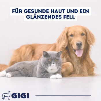 GIGI VET Haut & Fell Für Hunde und Katzen 90x140 g