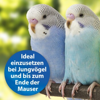 Quiko Plus 400 g: Extra Proteine für Jungvögel